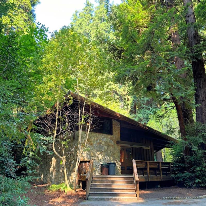 A rustic stone cabin with a wooden deck and stairs sits nestled amongst tall, green trees.