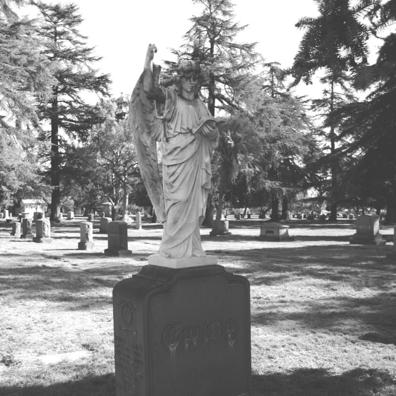 A white angel statue stands prominently in the foreground of a cemetery, with gravestones and trees filling the background.