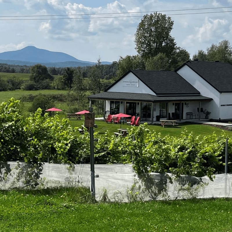 Red wine is poured into a glass in the foreground, with a vineyard and a "Gagliano Vineyards" logo in the blurred background.