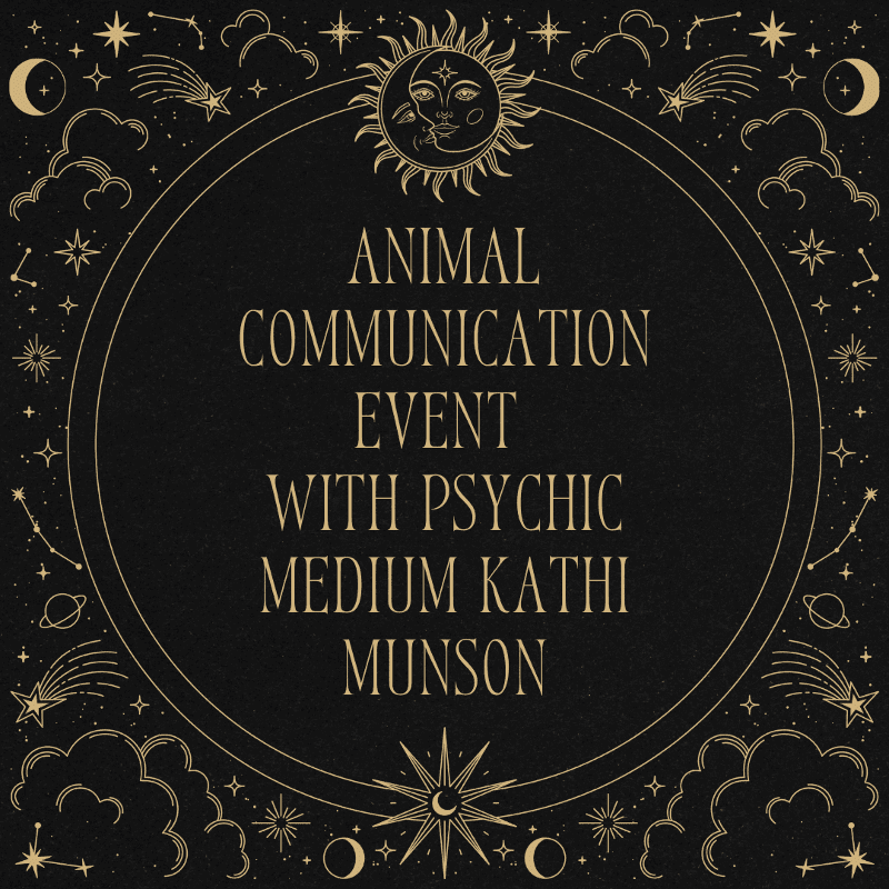 A celestial border frames text announcing an "Animal Communication Event with Psychic Medium Kathi Munson" against a dark, starry background.