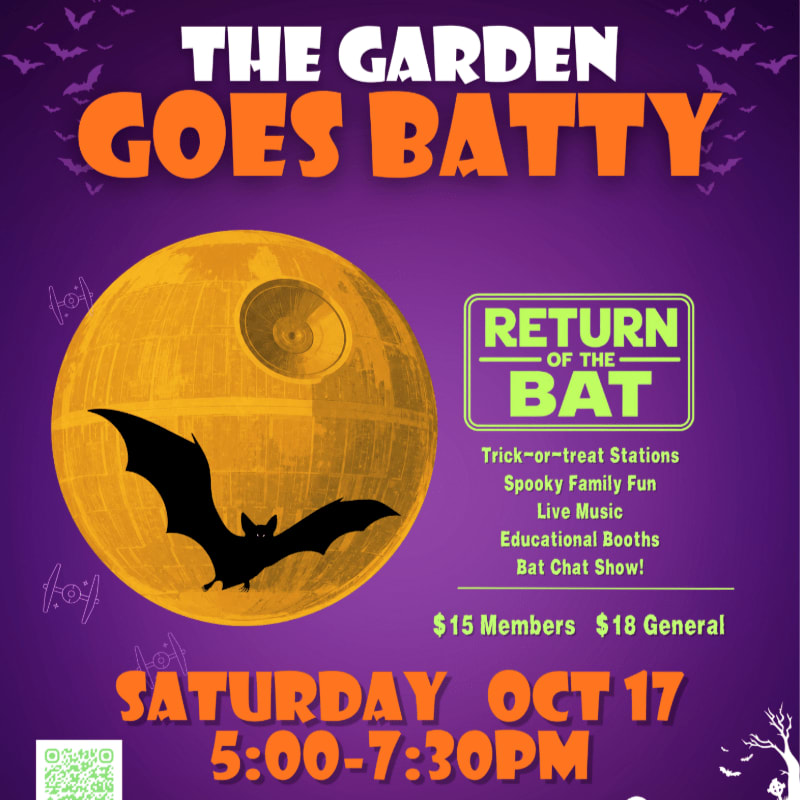 A large, textured yellow sphere resembling the Death Star with a bat silhouette in front is the focal point against a purple background filled with bat graphics and event details.
