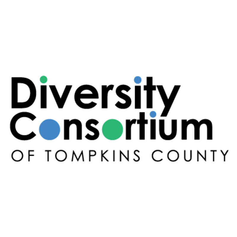 Black text spelling "Diversity Consortium" with colorful dots and "OF TOMPKINS COUNTY" below it is set against a white background.