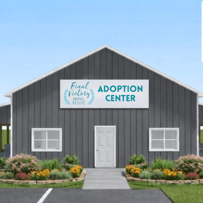 A gray, modern building with "ADOPTION CENTER" signage stands behind a manicured lawn with colorful flowers and bushes, under a clear sky.