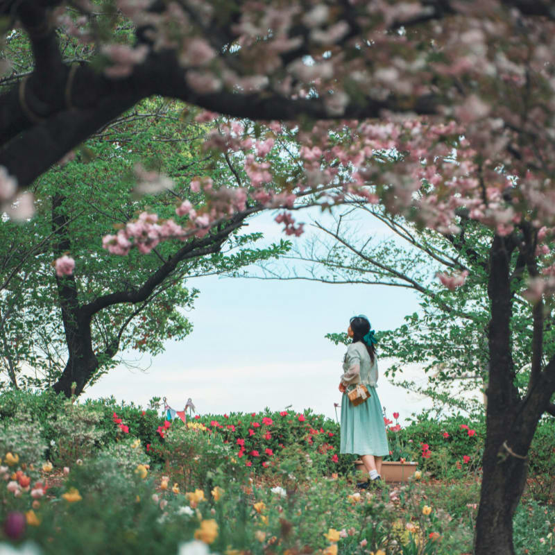 a person standing in a garden