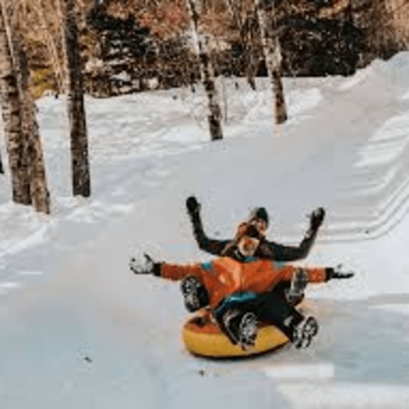 Two people on a yellow inner tube slide down a snowy hill, with trees lining the background.