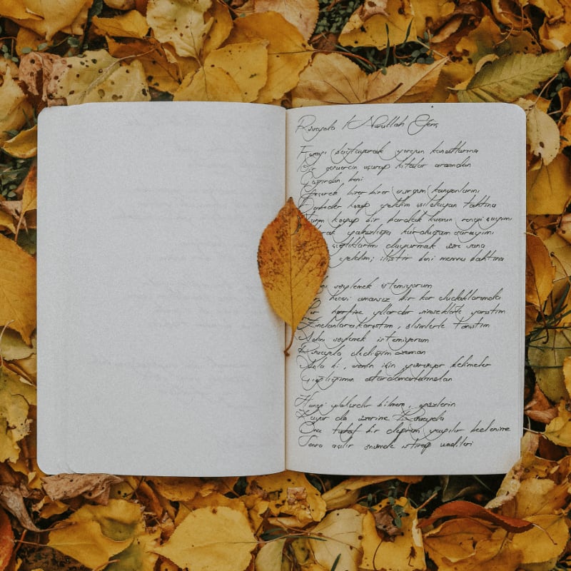 An open notebook with handwritten text rests on a bed of fallen autumn leaves, with a single yellow leaf marking a page.