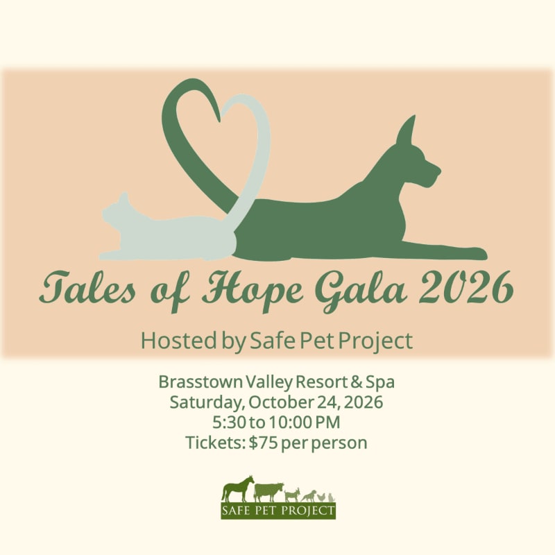 A stylized silhouette of a cat and dog forming a heart in the foreground is set against a pale peach background with event details below.