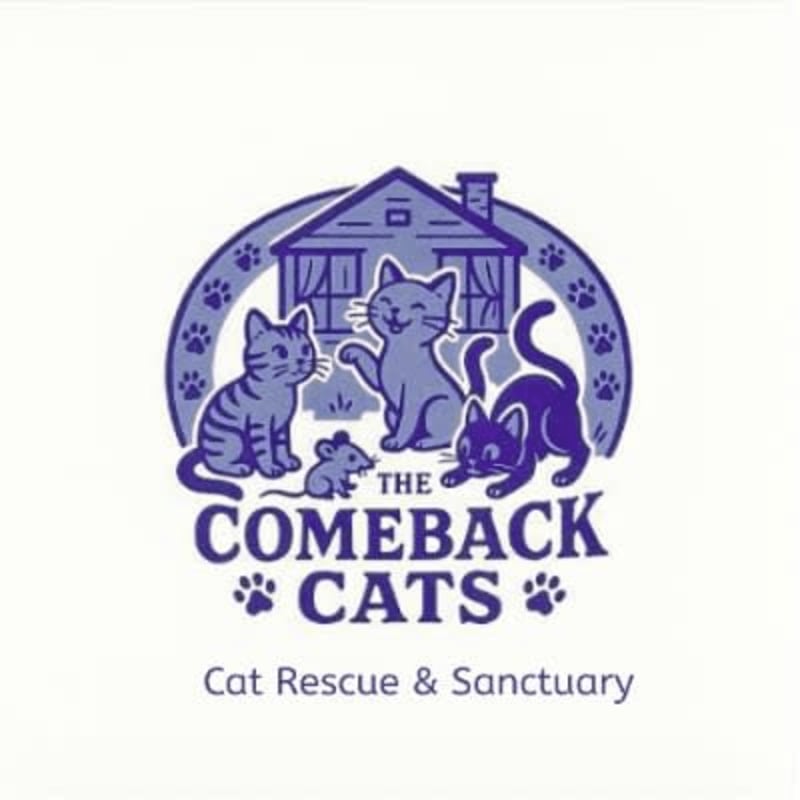Three cartoon cats and a mouse are gathered in front of a house, with paw prints forming a circle around them, all set against a white background with text below.