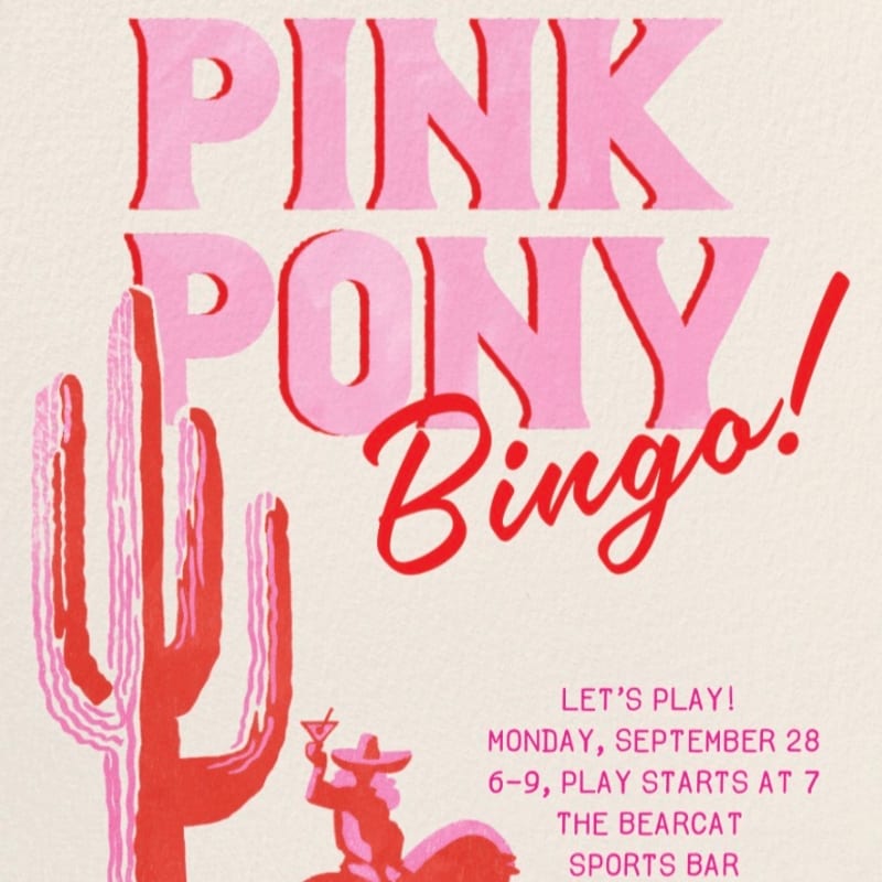 A stylized pink cactus and a person in a sombrero with a drink are in the foreground, with "PINK PONY Bingo!" in large pink letters against a cream background.