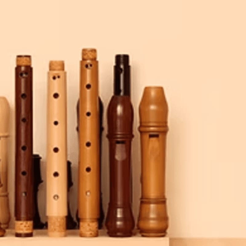 A collection of wooden recorders of varying colors and sizes stands in the foreground against a plain, light-colored background.