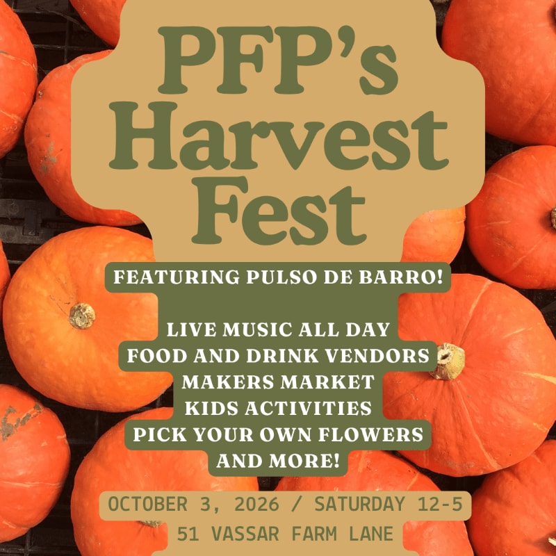 Bright orange pumpkins fill the foreground around a tan, scalloped-edge sign advertising "PFP's Harvest Fest" with event details.