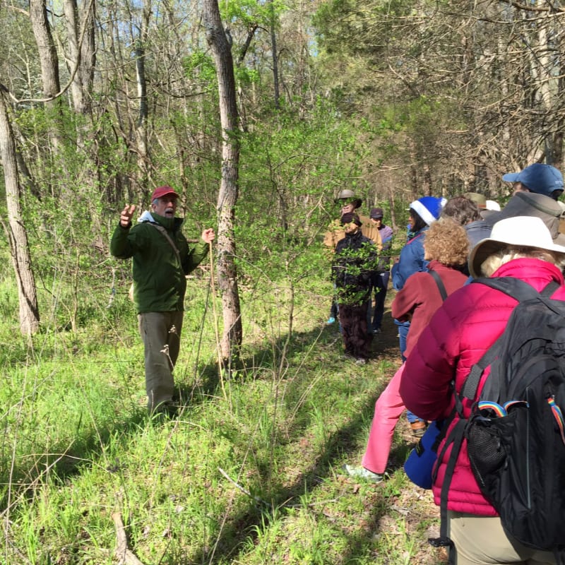 A man in a green jacket gestures while leading a group of people on a nature walk through a sun-dappled forest.