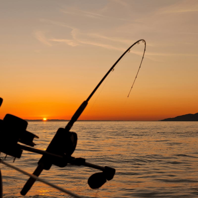 black fishing rod and body of water during golden hour