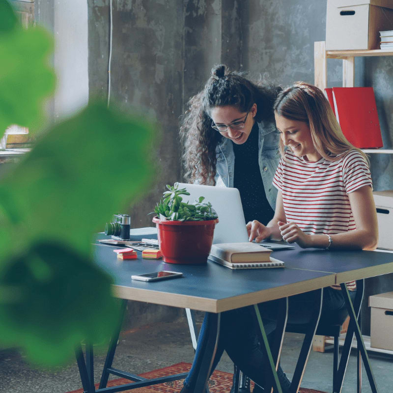 Two women collaborate at a desk in a modern office