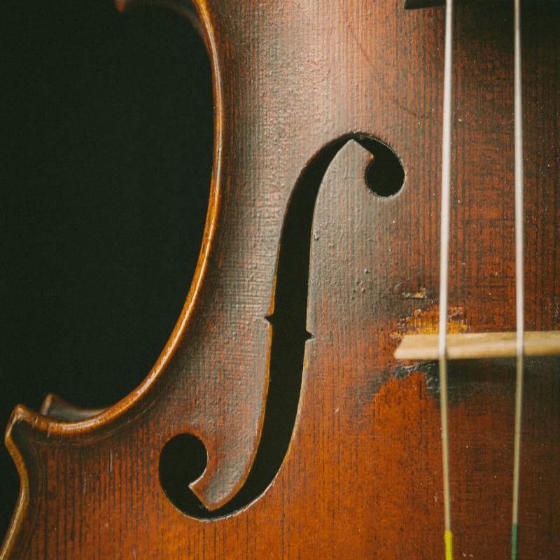 brown violin
