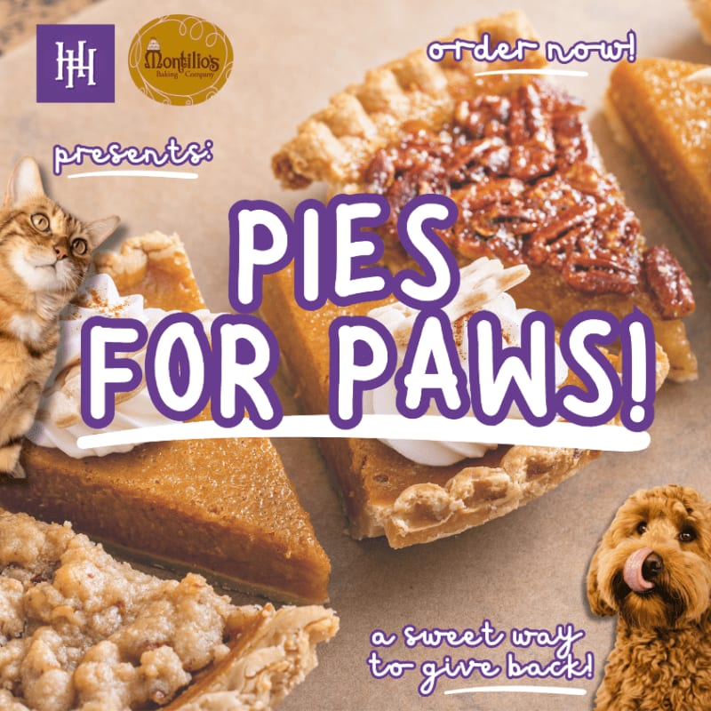 Slices of pie, including pecan and pumpkin, are in the foreground with a cat and dog, while the background features logos and text promoting "Pies for Paws."