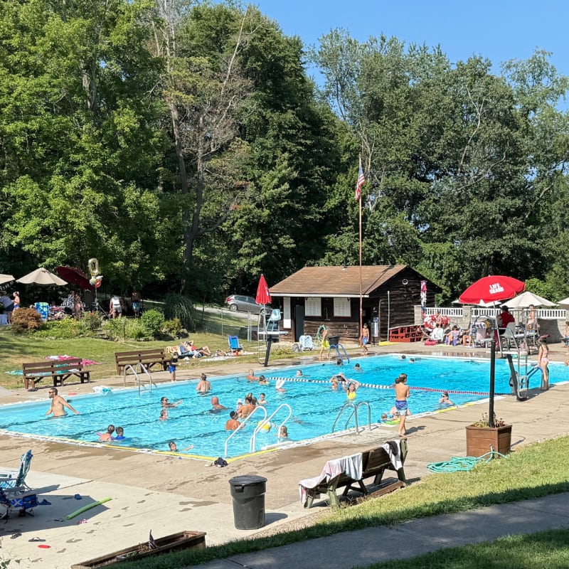 People swim and relax in a bright blue pool surrounded by trees and a small building.