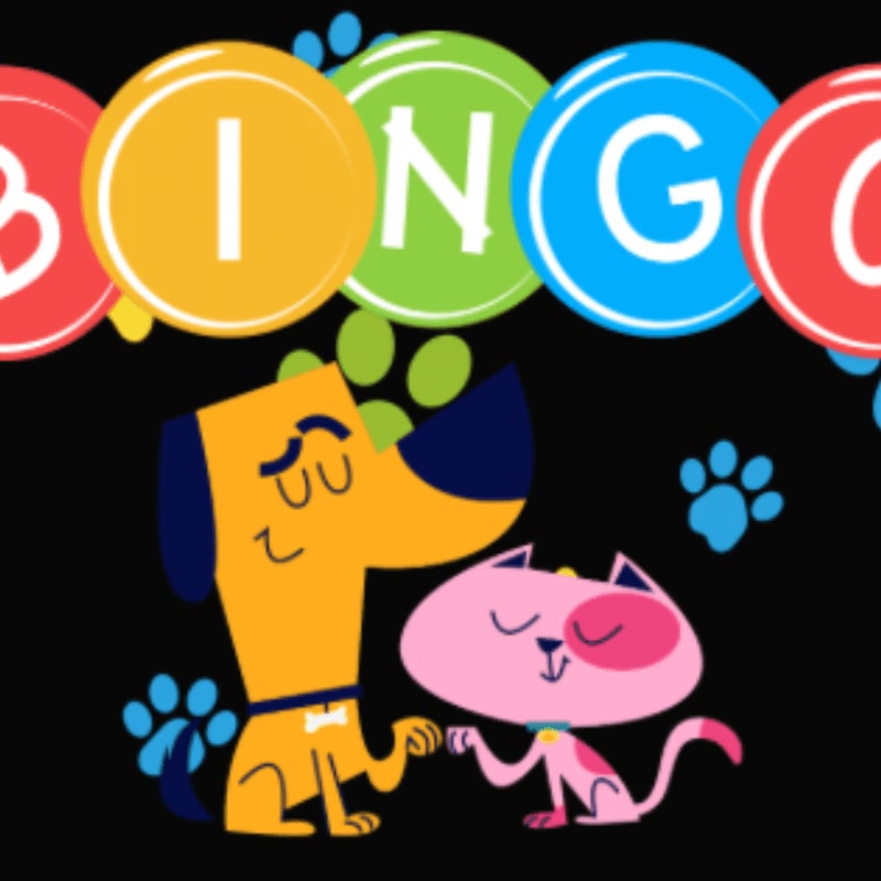 A cartoon dog and cat are high-fiving in the foreground, with colorful "BINGO" letters and paw prints in the background.