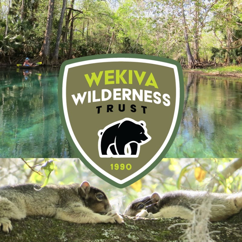 Two squirrels rest on a mossy branch in the foreground, while a kayaker paddles on a clear blue river surrounded by lush green trees in the background, all framed by the Wekiva Wilderness Trust logo.