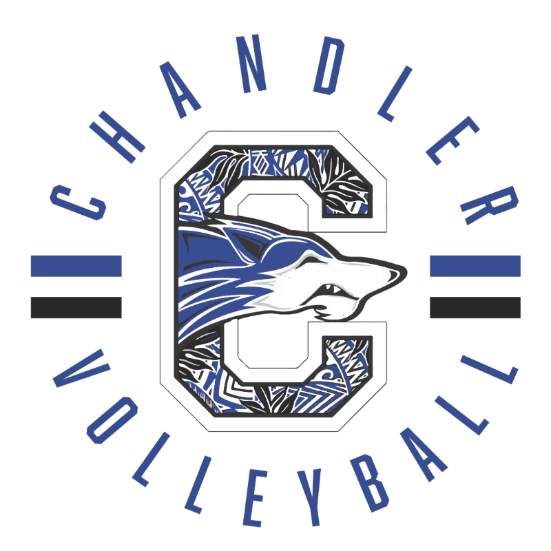 A stylized wolf head with blue and white fur emerges from a large white letter "C" with a black and blue tribal pattern, surrounded by the words "CHANDLER VOLLEYBALL" in blue lettering on a white background with horizontal blue and black stripes on either side.