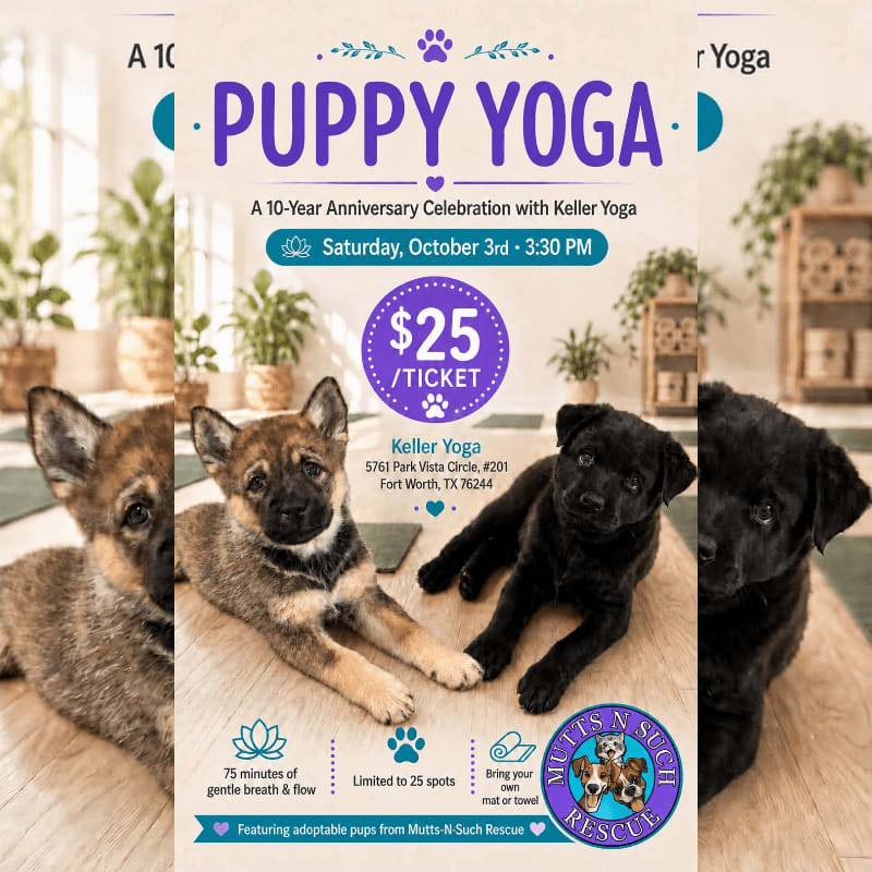 Three adorable puppies are the focus in the foreground, with a blurred background advertising a "Puppy Yoga" event.