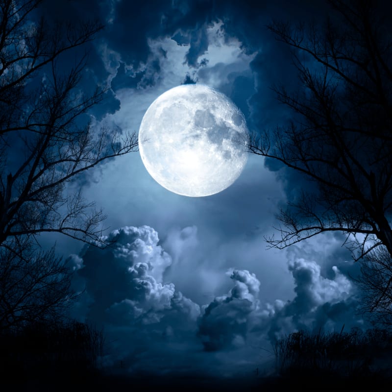 Silhouetted trees frame a luminous full moon against a dramatic, cloudy night sky.