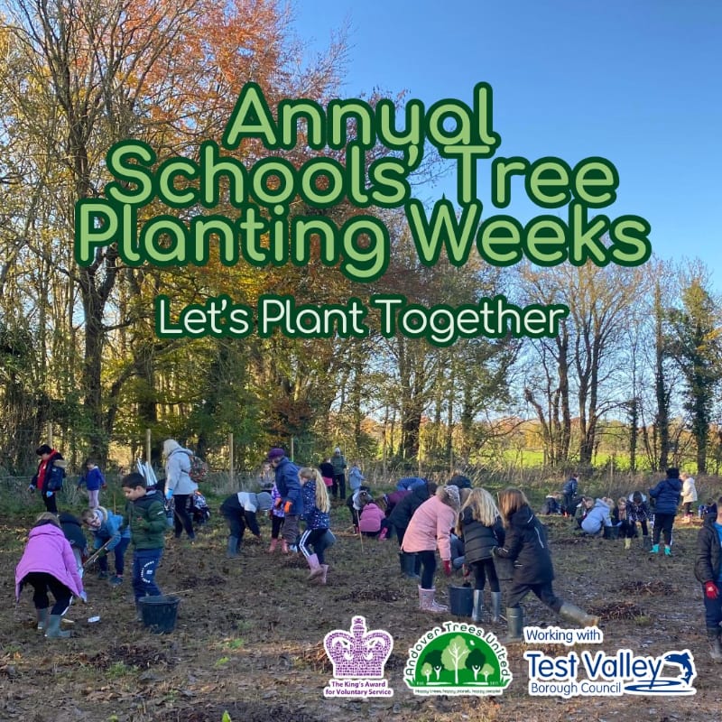 Children in the foreground are planting trees in a wooded area with autumn foliage in the background.