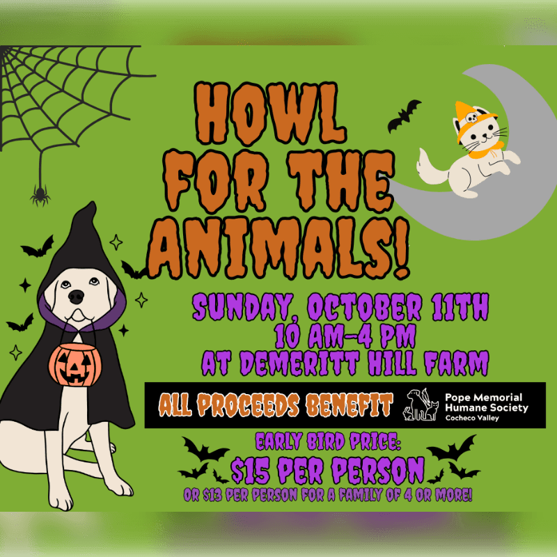 A costumed dog in the foreground sits next to a spiderweb, while a cat in a witch hat sits on a crescent moon in the background, both against a green Halloween-themed backdrop advertising "Howl for the Animals."