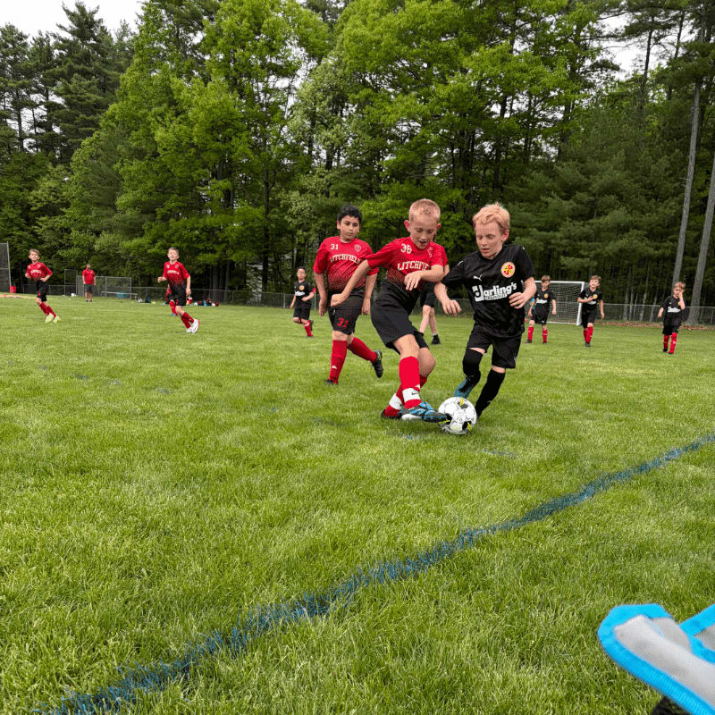 Young boys in red and black uniforms play soccer on a grassy field with trees in the background.