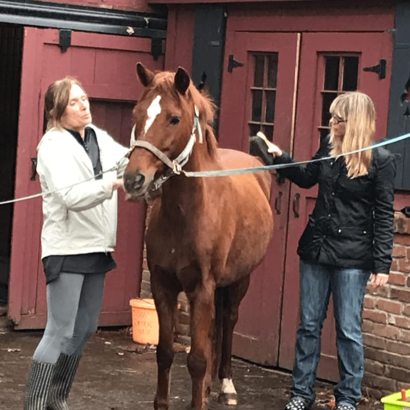 Two women groom a brown horse in front of a red barn door.