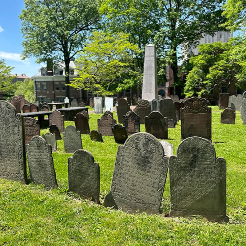 Weathered gravestones stand in a grassy cemetery foreground, with a tall obelisk and brick buildings visible in the leafy background.