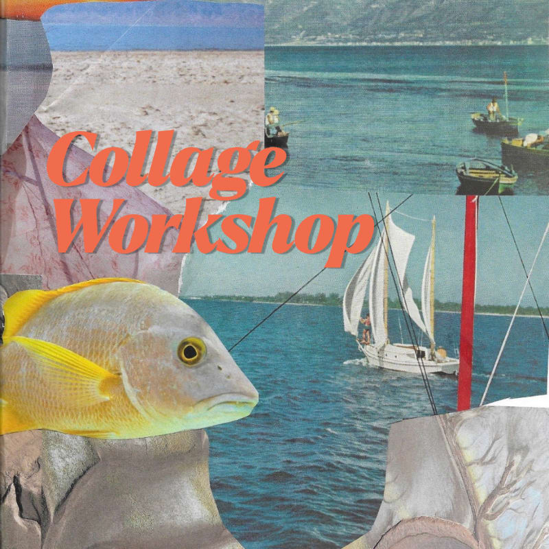 A collage features a close-up of a fish in the foreground, with a seascape containing sailboats and boats in the background.