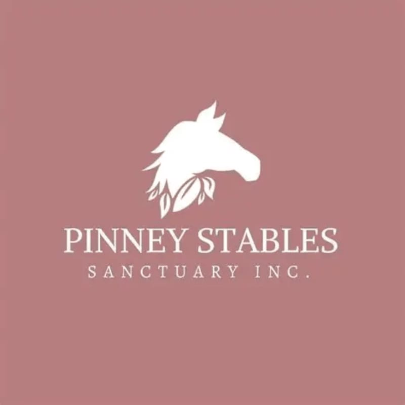 A white silhouette of a horse's head with leaves is centered above the text "PINNEY STABLES SANCTUARY INC." on a dusty rose background.