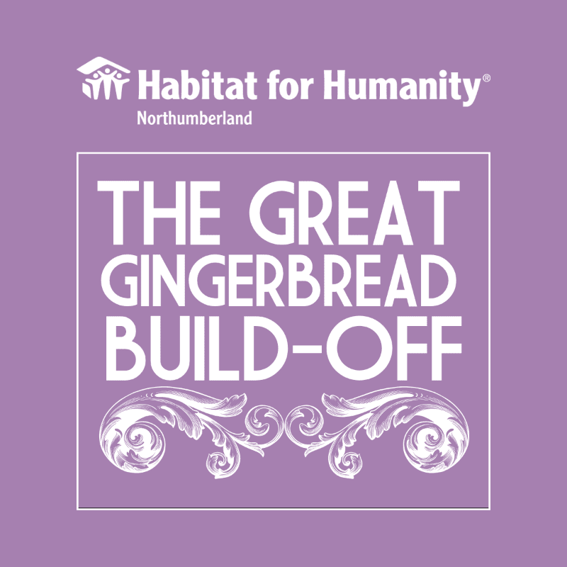 A white square with the text "THE GREAT GINGERBREAD BUILD-OFF" and decorative swirls sits on a lavender background, topped by the Habitat for Humanity Northumberland logo.