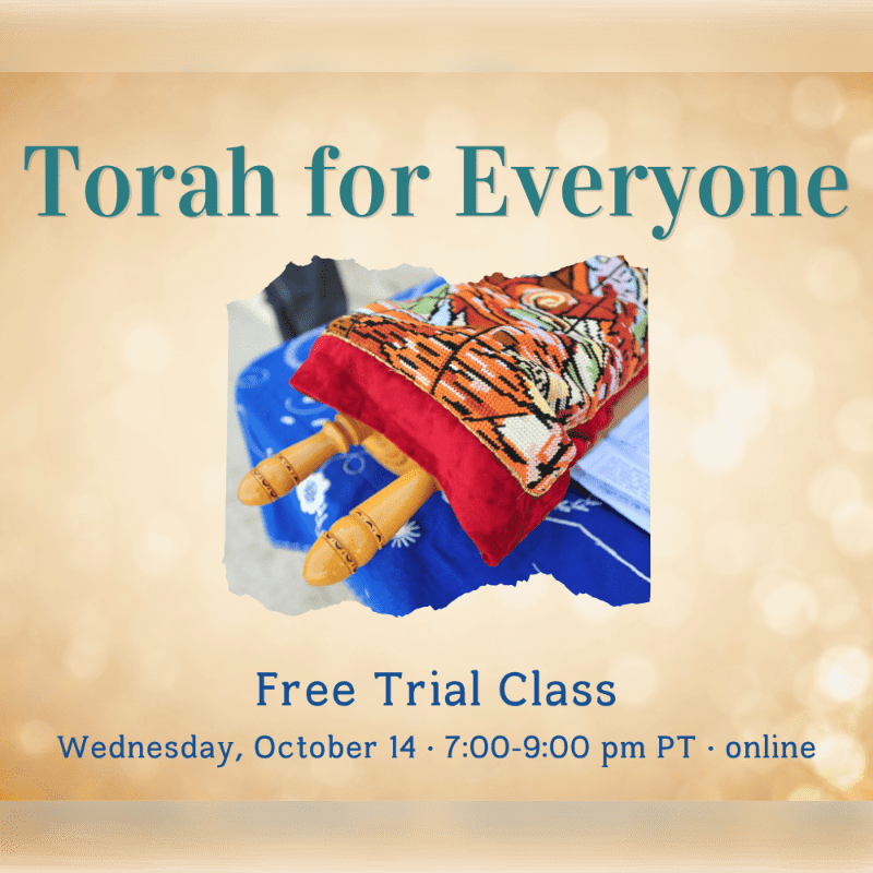 A Torah scroll rests on colorful cloths in the foreground, with the text "Torah for Everyone" and class details against a soft, textured background.
