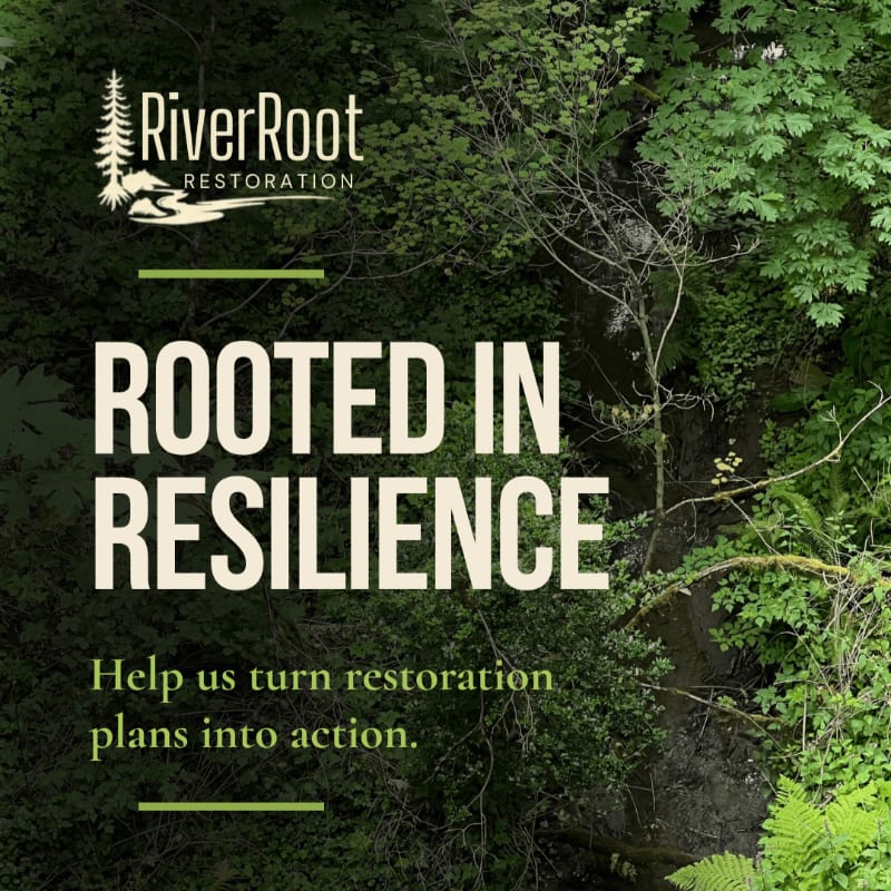 Lush green foliage frames the text "ROOTED IN RESILIENCE" and a logo for RiverRoot Restoration, with a hint of a rocky stream bed in the background.