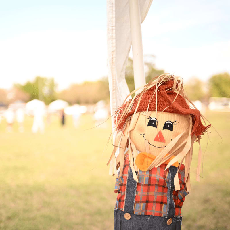 A smiling scarecrow with a plaid shirt and denim overalls stands in the foreground against a blurred background of white tents and trees.