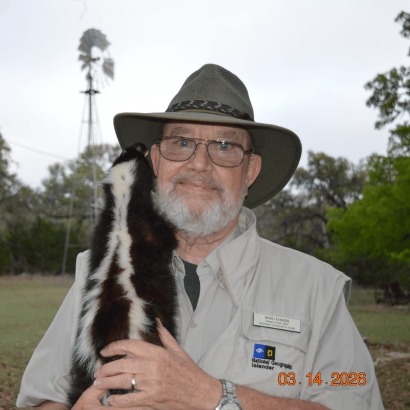 A man in a hat and khaki shirt holds a skunk in front of a windmill and trees.