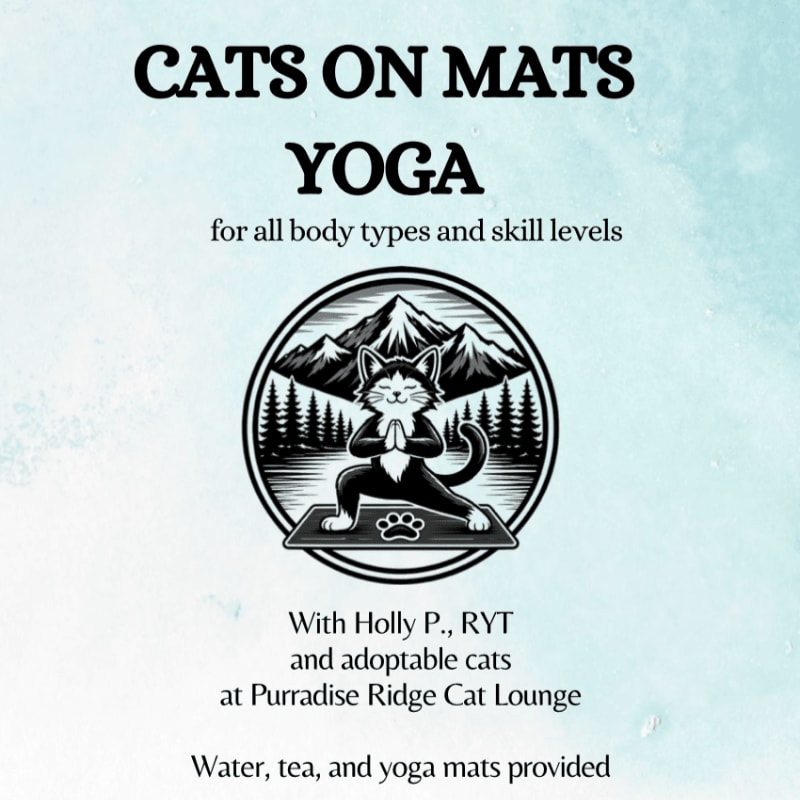 A black and white cat in a yoga pose sits on a mat in the foreground, with a mountain landscape in the background.