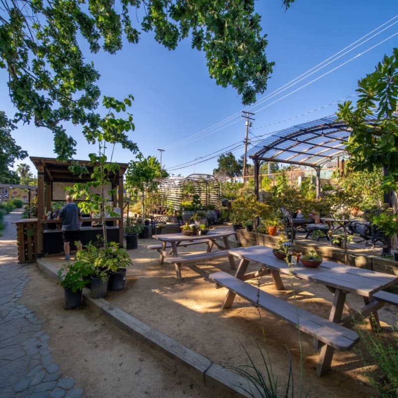 Wooden picnic tables are set on a sandy ground in the foreground, with a small wooden stand and lush greenery, while a covered seating area and more plants fill the background under a clear blue sky.
