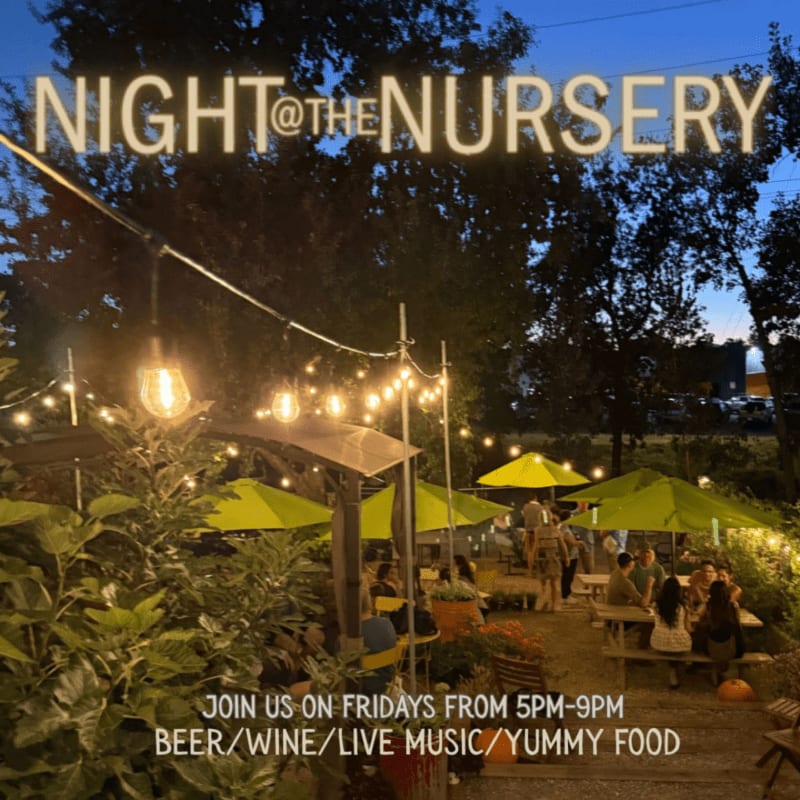 String lights illuminate an outdoor seating area with green umbrellas and picnic tables in the foreground, while a dark, tree-lined background suggests a twilight setting.