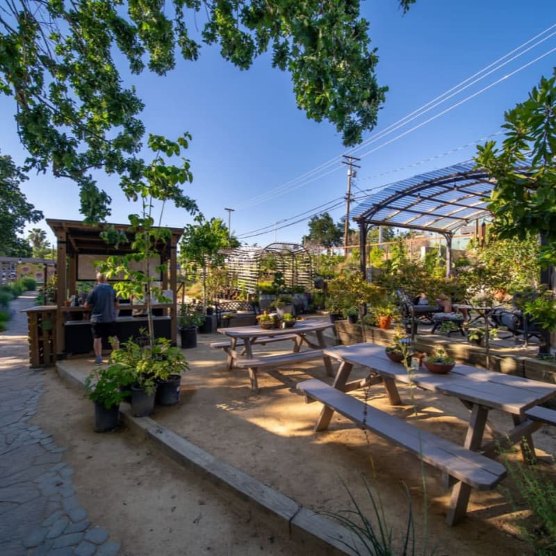 Wooden picnic tables are set on a sandy ground in the foreground, with a small wooden stand and lush greenery, while a covered seating area and more plants fill the background under a clear blue sky.