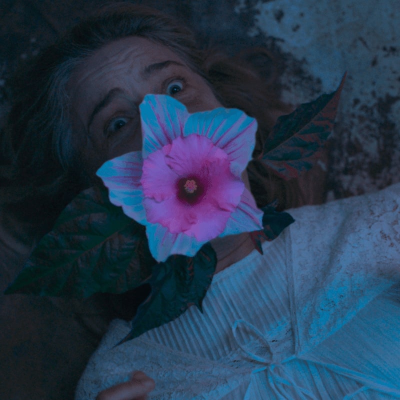 A woman with wide eyes lies on the ground, her face partially obscured by a large pink flower with green leaves.