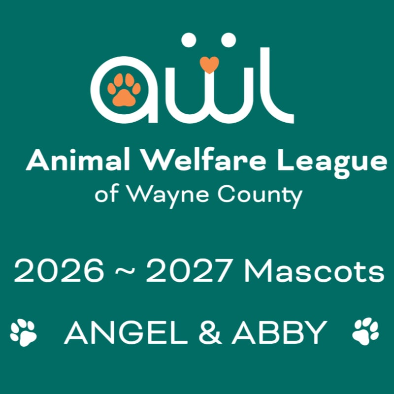 A teal background frames the Animal Welfare League of Wayne County logo and text announcing their 2026-2027 mascots, Angel & Abby, in the foreground.