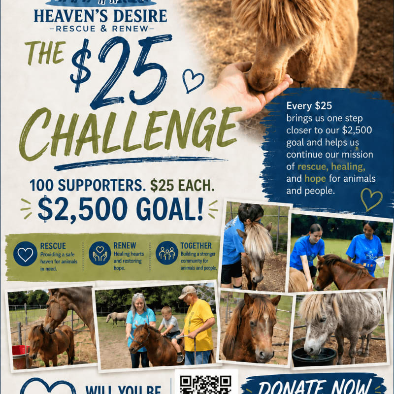A poster for "Heaven's Desire - Rescue & Renew" features a close-up of a hand gently touching a llama's nose in the background, while the foreground is filled with text about a "$25 Challenge" and a collage of heartwarming photos of rescued animals and people.