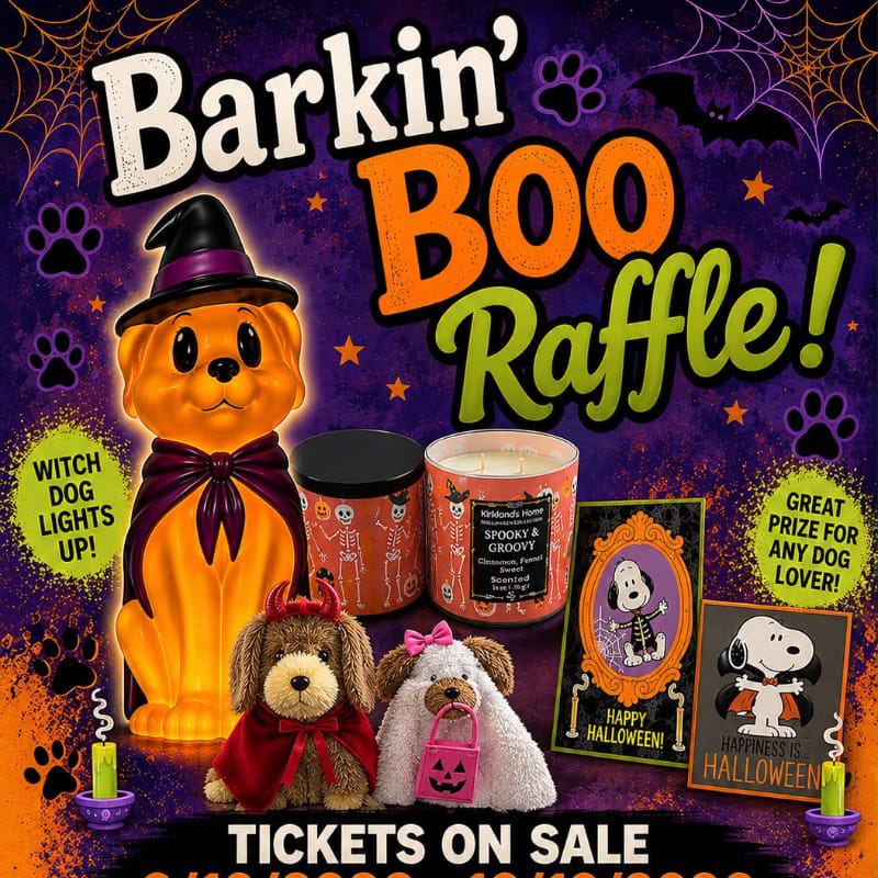 A witch dog light-up figure, two plush dogs, and Halloween-themed candles and cards are displayed in the foreground against a purple and orange background with spiderwebs and paw prints.