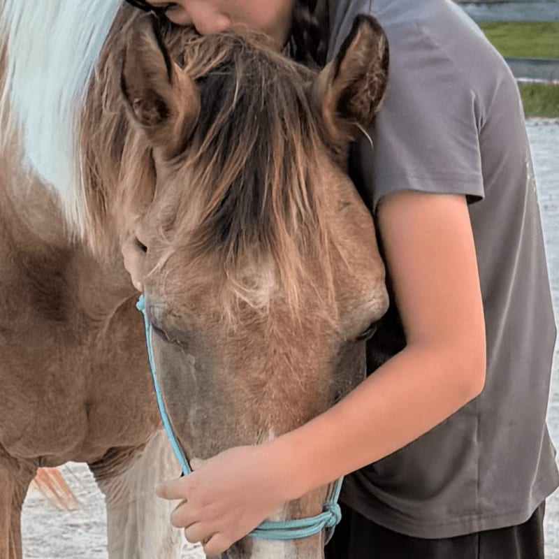 A person hugs a horse's head in the foreground, with a blurred outdoor arena in the background.