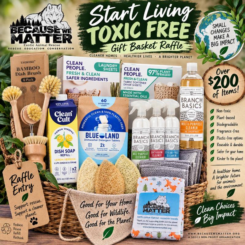 A raffle basket filled with eco-friendly cleaning products sits in the foreground, with a lush green forest in the background.
