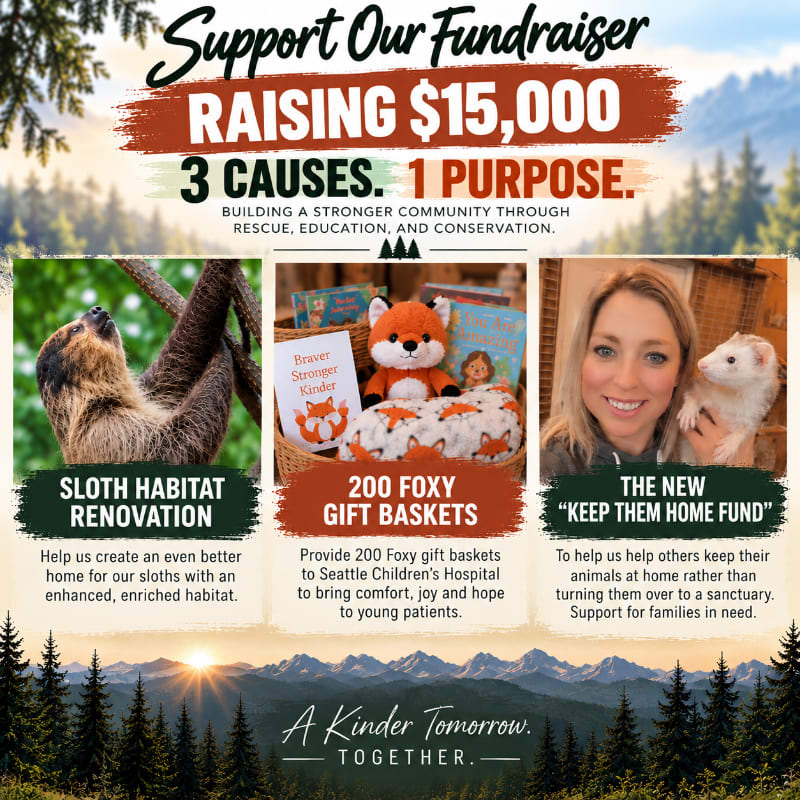 A fundraising poster with three featured causes—sloth habitat renovation, foxy gift baskets, and a "keep them home fund"—is set against a backdrop of a misty forest and mountains at sunrise.