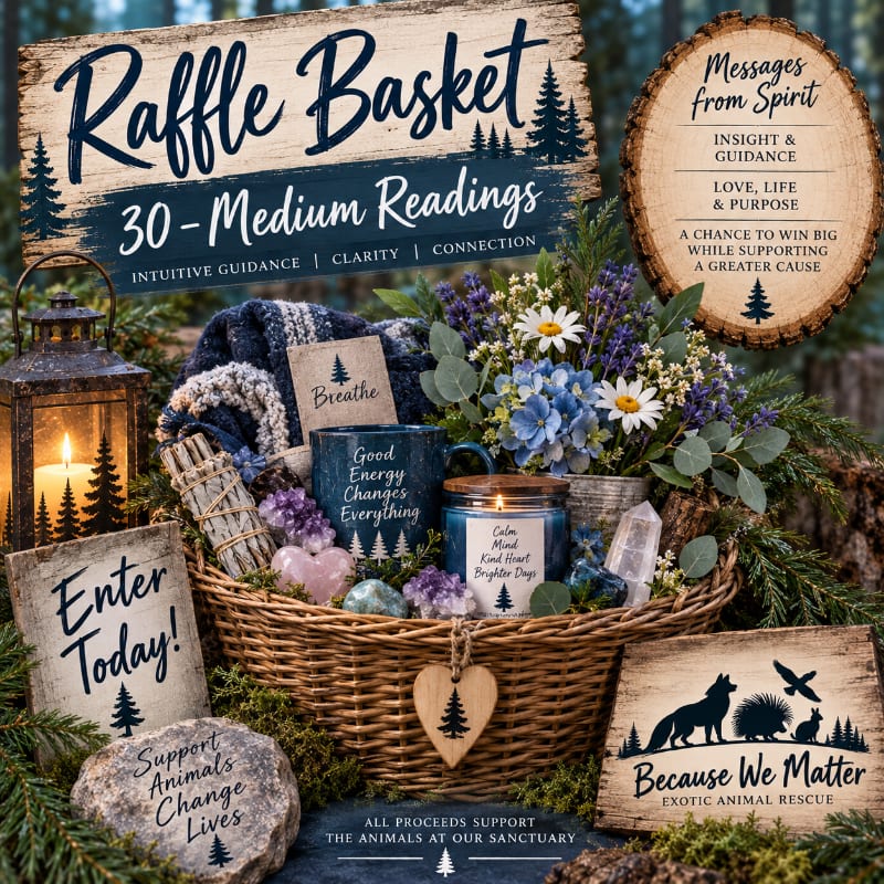 A raffle basket filled with spiritual items sits in the foreground, with a rustic wooden sign advertising "Raffle Basket 30-Medium Readings" and other informational signs in the background.